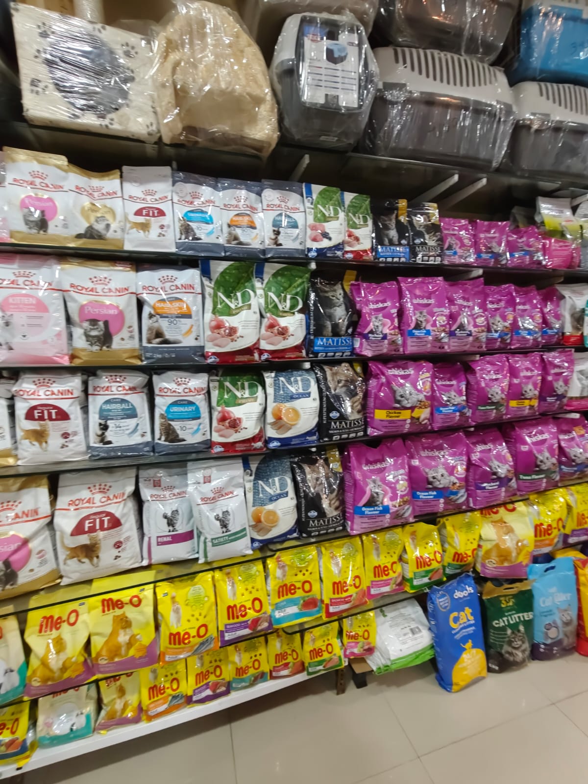 Sarvadnya Pet Care Unit veterinary clinic, Pune